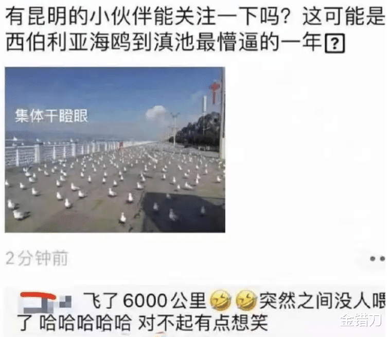 泰国■中国人再不出国旅游，这三个国家就快疯了！