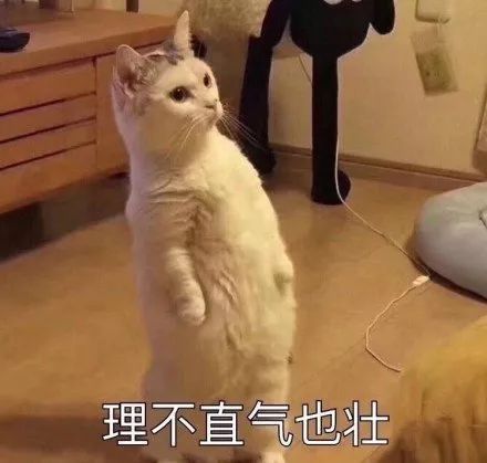 Java|java新手通病（哈哈哈我又来了），异常处理该什么时候使用你知道了吗