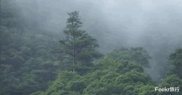 衢州▲马云都来悄悄拜访！这座浙西小县城，究竟有什么魔力？