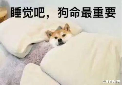 金钟国■44岁金钟国健身20年，肾却不行了？肌肉爆炸qu至今单身图个啥？