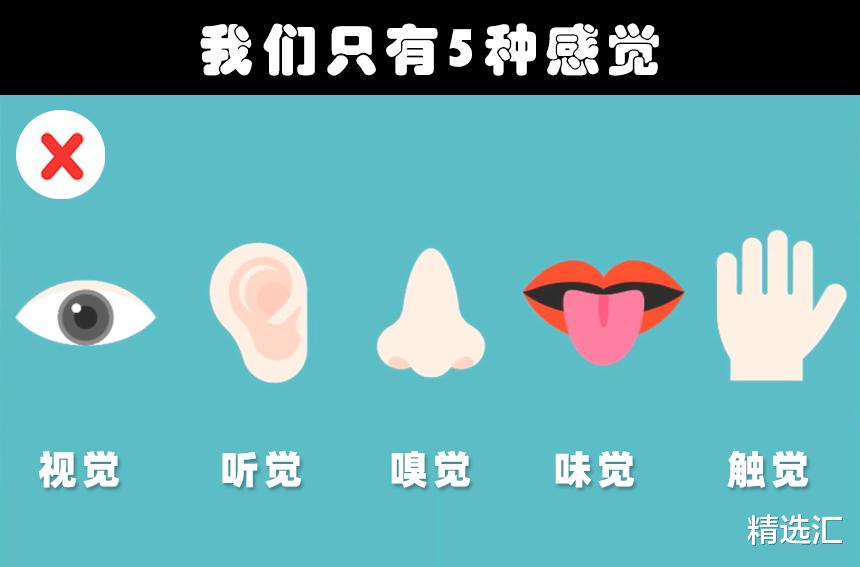 科学家|被许多人相信着,但却并非事实真相的9个传闻知识