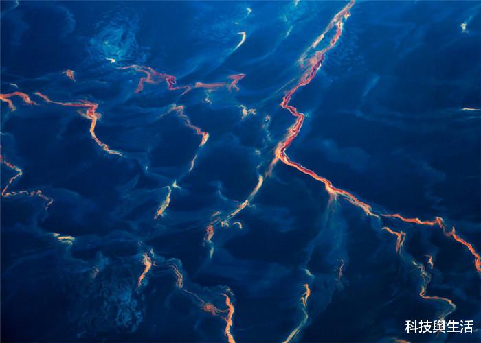 科学家|220位科学家同时作出警告，地球正面临3大难题，再不解决就晚了！