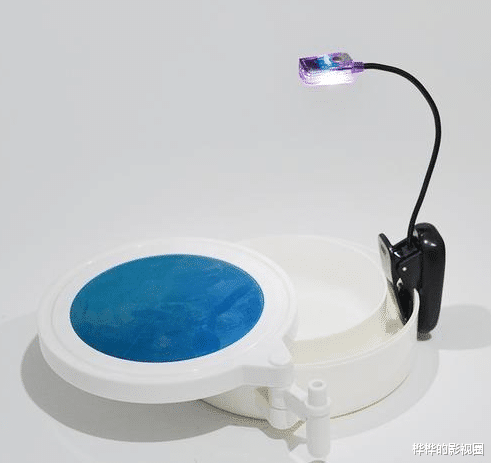 「是夜」夜钓都需要准备什么装备呢？