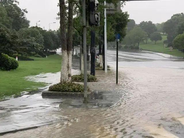 半岛晨报|9孔全开泄洪后，有居民区淹至二楼，树都淹到树冠部位了