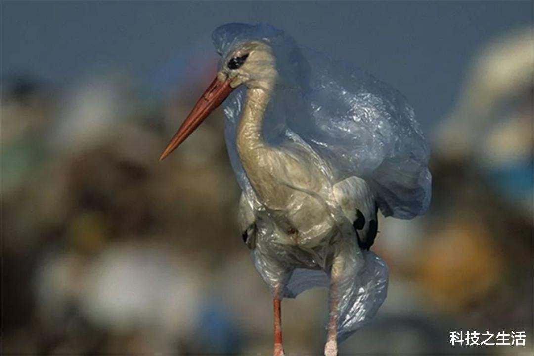 科学家|人类身体中，发现不该存在的东西，难道霍金的担忧是对的？