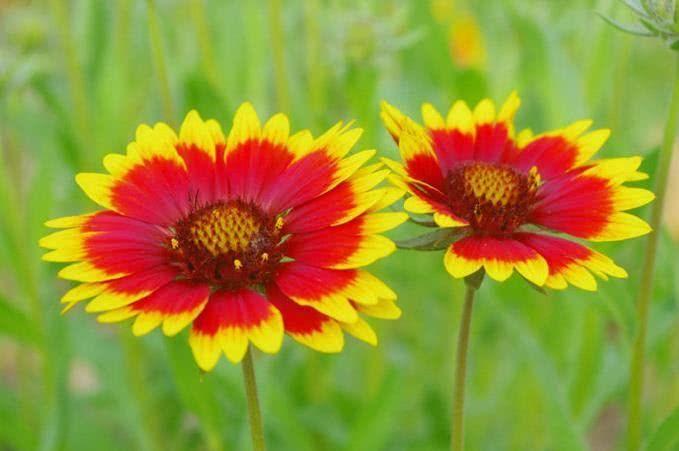 运势|10月开始，财气翻番，福气满满，赚钱多多的4大生肖