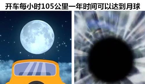 「鸵鸟」与这个世界相关，但很多人可能并没有听说过的11个冷知识
