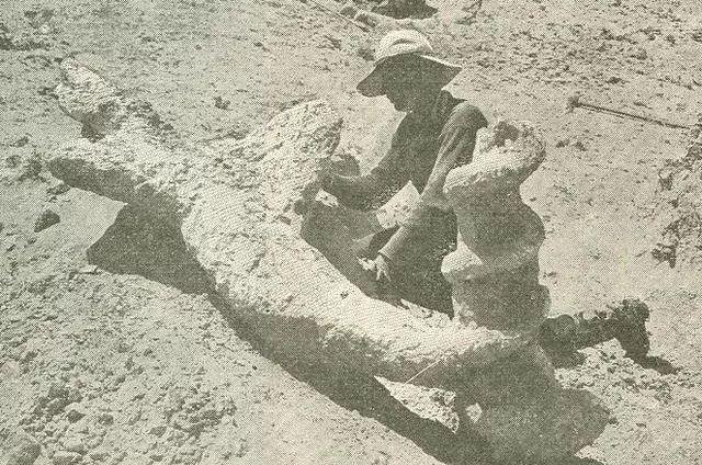 外星人|这种两米高的“魔鬼开瓶器”，有几十万年历史，真是外星人建的？