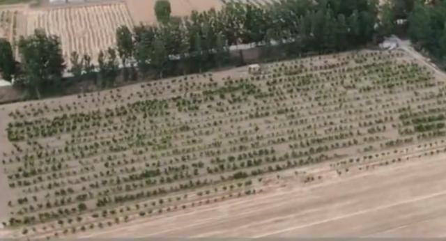 桂东▲男子投资2000万建养猪场,到最后一道手续遭拒,负责人:只要动工我就查你