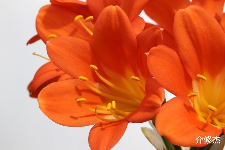 生肖|九月中旬,喜鹊带好运,事业遇贵人,生活霉运消散的4大生肖