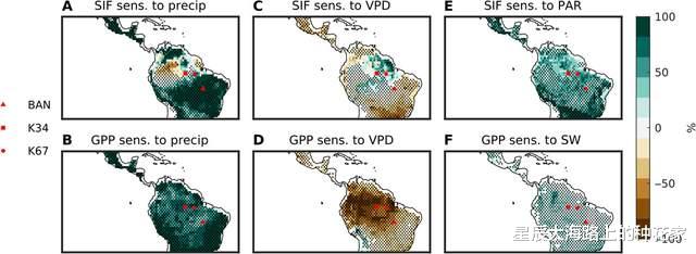 全球变暖|亚马逊雨林到底有多恐怖？全球变暖后，它反而会长得更好！