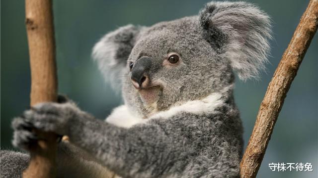 |24个冷知识:只有少数人知晓,或许让人感到荒谬