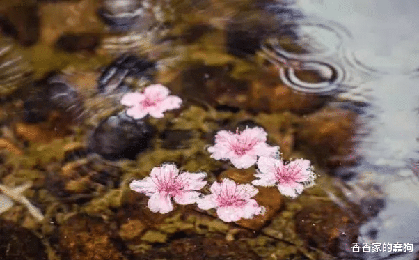 懂因果的人，不会占便宜