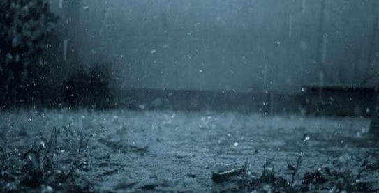 恐龙|地球上下的最大的雨，下了200万年，恐龙就此诞生