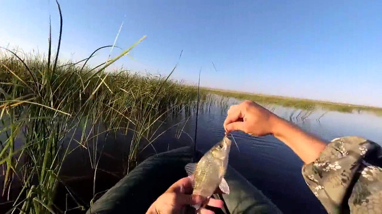 海钓|钓鱼的过程中遇到走漂，该怎么及时的处理