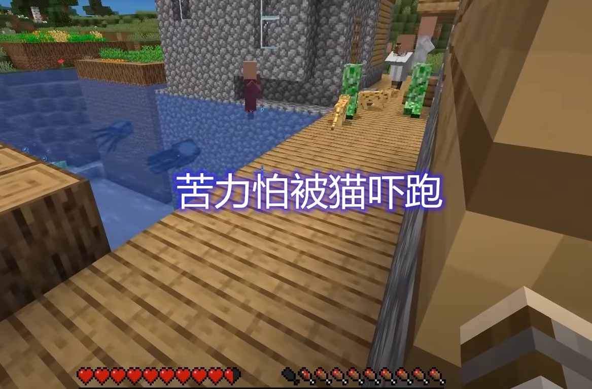 #我的世界#我的世界：苦力怕也有害怕的动物？看到猫就跑，流浪猫受玩家喜爱