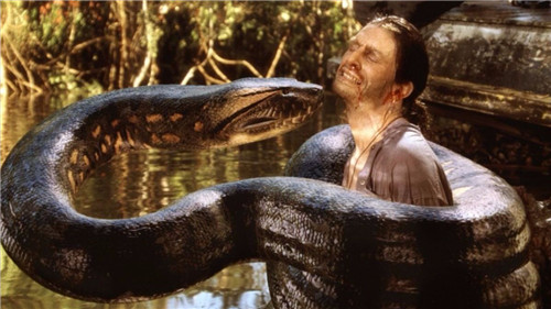 相对论|蛇能长到多长？二战时盟军飞行员拍到一条巨蟒，至今没有蛇能超越