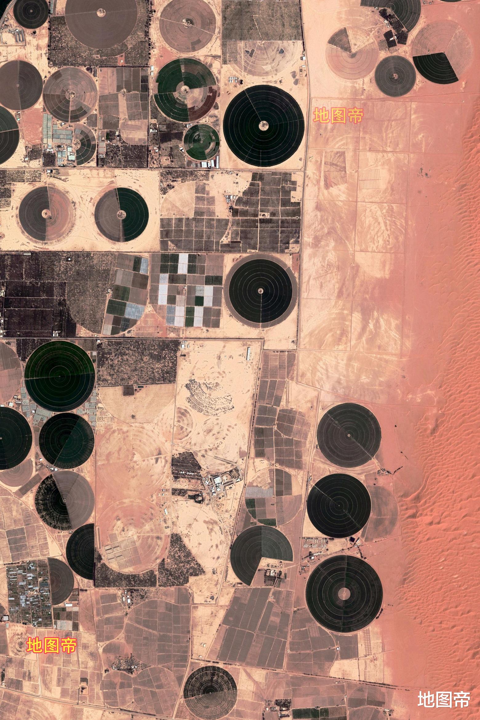 【沙特阿拉伯】沙特曾经是粮食出口国，如今为何半途而废？