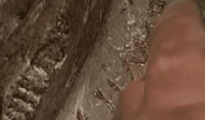 『陨石』男子发现重达25吨的天外陨石，上面的神秘文字让专家兴奋！