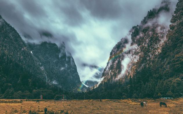 处女座|静而不争，静而不乱的三大星座，戒掉抱怨，戒掉计较，锋芒不露