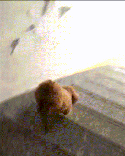 美甲|“我tm长这么好看，咋没男人撩我？一群没眼光的！”哈哈哈网友神评亮了～