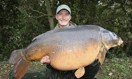 物种入侵|欧洲再次遭到物种入侵，体型胖的像头“猪”？它们为啥不去中国？