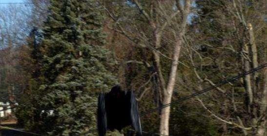 ##最恐怖的未知生物之一，曾被无数人目击，科学却无法解释！