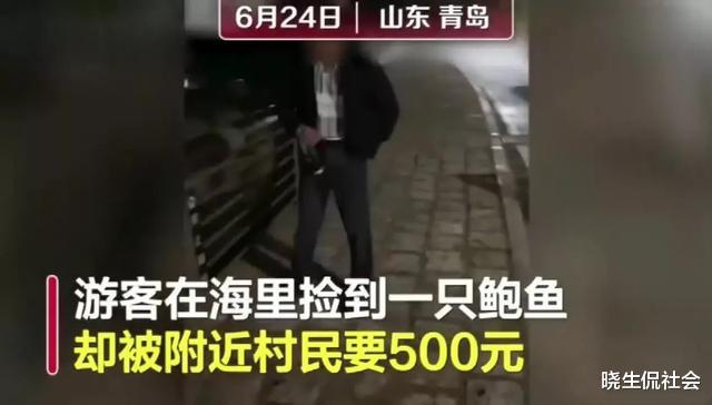 旅行▲游客无意捡到天然鲍鱼！村民：这片海被我们承包了，交500块钱！