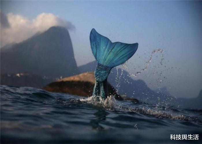 #科学家#1975年抓到的一只“美人鱼”，捞上岸后，科学家发现不对劲！