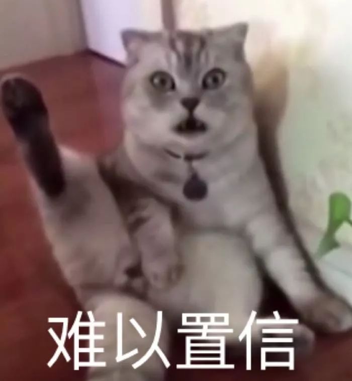 |罗永浩还债4个亿，收入竟从这里来