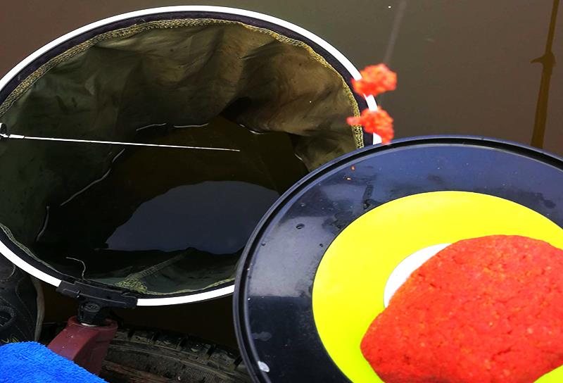 鱼塘|收费鱼塘钓鱼，熟记这5条心得，有个好钓获不难