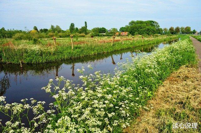 #白羊座#6月，日思夜想终成疾，不如回首永相依，3星座旧情复燃，携手白头