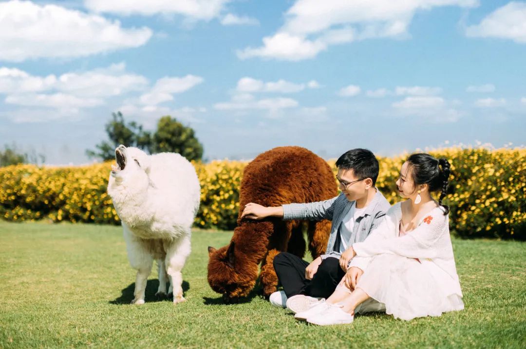 旅行|15个情侣最爱打卡的旅行地，去过5个忍不住想结婚！