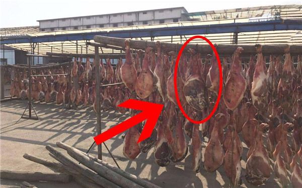 金华火腿|为什么说每10根金华火腿里，会有一条狗腿？其实原因很简单