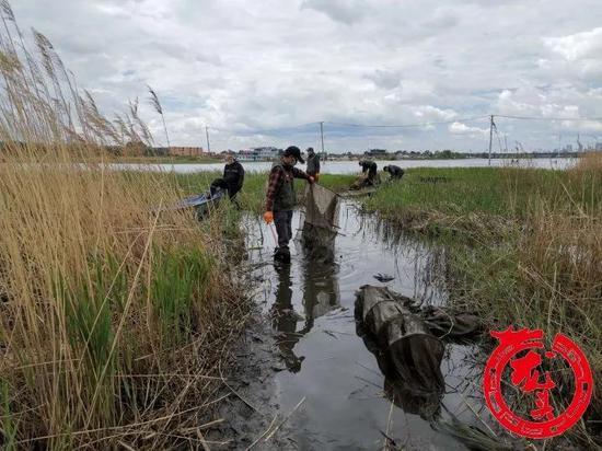 香港■哈尔滨江畔清理渔具救下脸盆大“凶物”还攻击人
