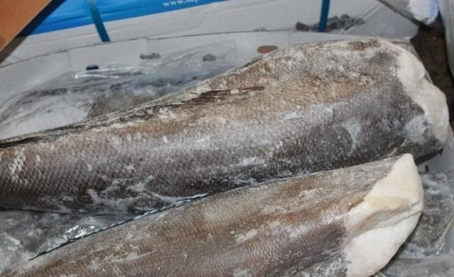 油鱼|鳕鱼到底是一种怎样的鱼？为什么我们买的鳕鱼大都没有头？