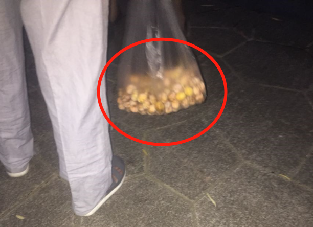 天眼新闻|严重可致命！贵阳街头这东西，千万别乱采