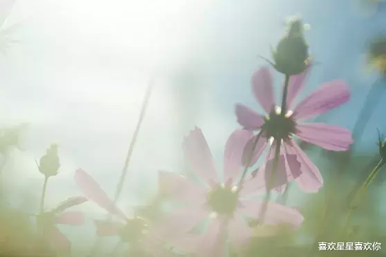 运势|从7月13日开始，运势上升，鸿运当头，财神相逢的生肖