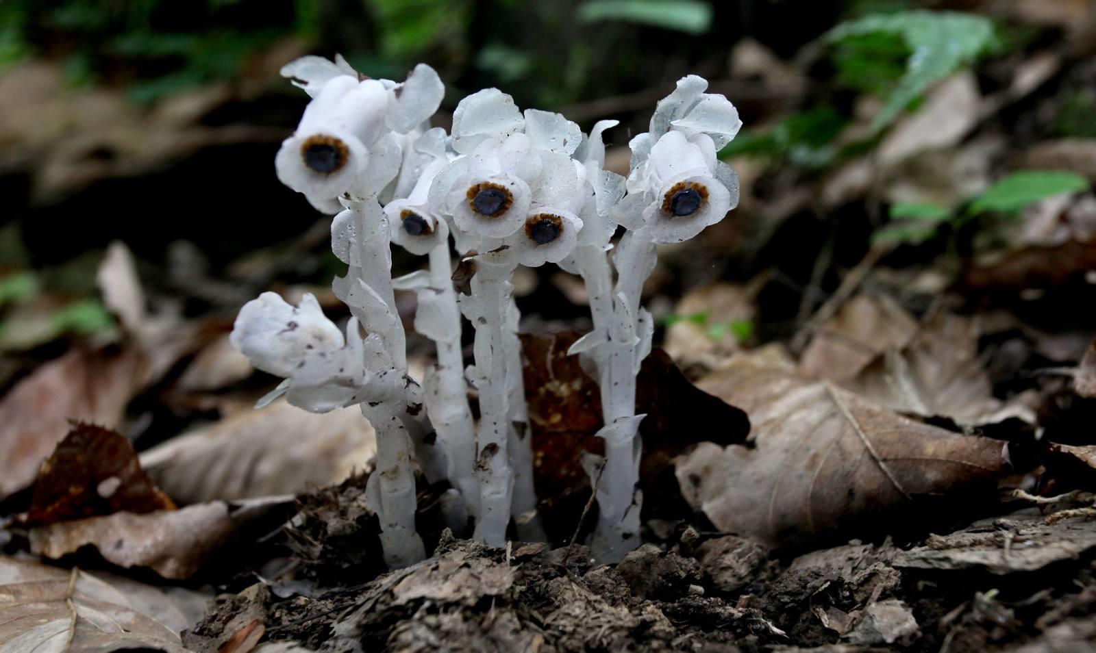 「」心理学家：一个人死亡时，其实知道自己正在死亡，原因有3点