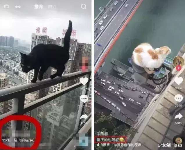 少女兔iiilass|“杭州女子离奇失踪，网红蜂拥而至”对不起，你拼命「圈钱」的样子真丑！