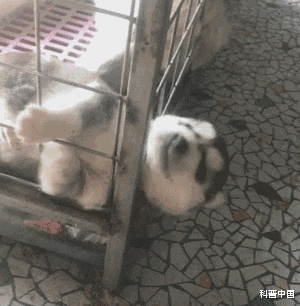 睡眠|睡觉究竟侧卧好，还是平躺好？原来脊柱最喜欢的\睡姿\是…