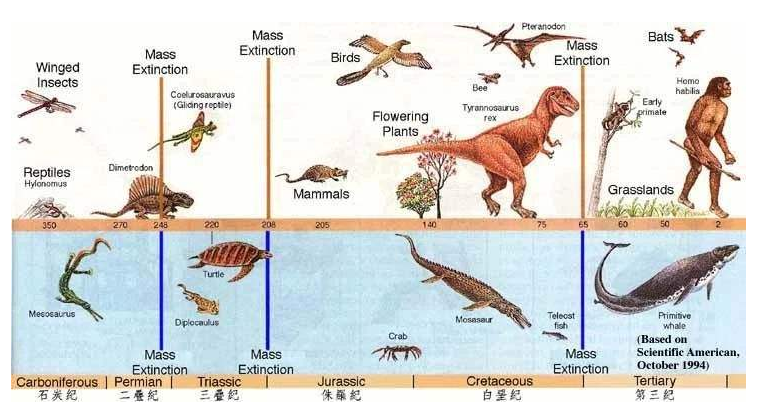 科学家|“一夫一妻”还是“一夫多妻”好?新研究:前者可能导致动物灭绝