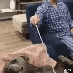 |这地方还招聘吗?我是真心喜欢这工作!哈哈