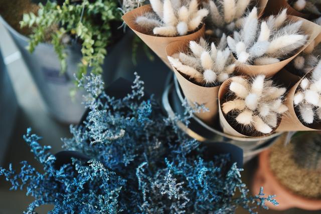 吉星|实力强大,聪明绝顶,但为人低调的三大星座,从不轻易表现自己