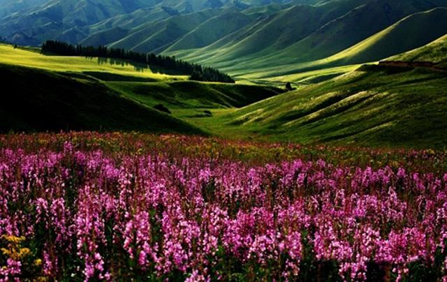 【新疆维吾尔自治区】“人间净土”夏尔西里：我国98年才收回，但你知道是如何收回的吗