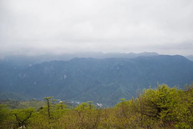 「秦岭」寻访秦岭光头山：又险又好看！自驾不让上？爬也要爬上去打一次卡
