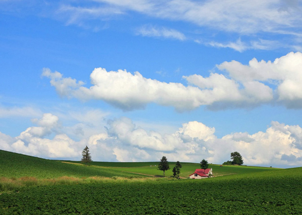 『生肖』十二生肖中，撞大运，3生肖财富缠身，横财如雨，扬眉吐气赚大钱