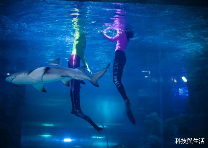 『科学家』有目击者称看到美人鱼，浑身散发出光泽，或关乎海底文明！