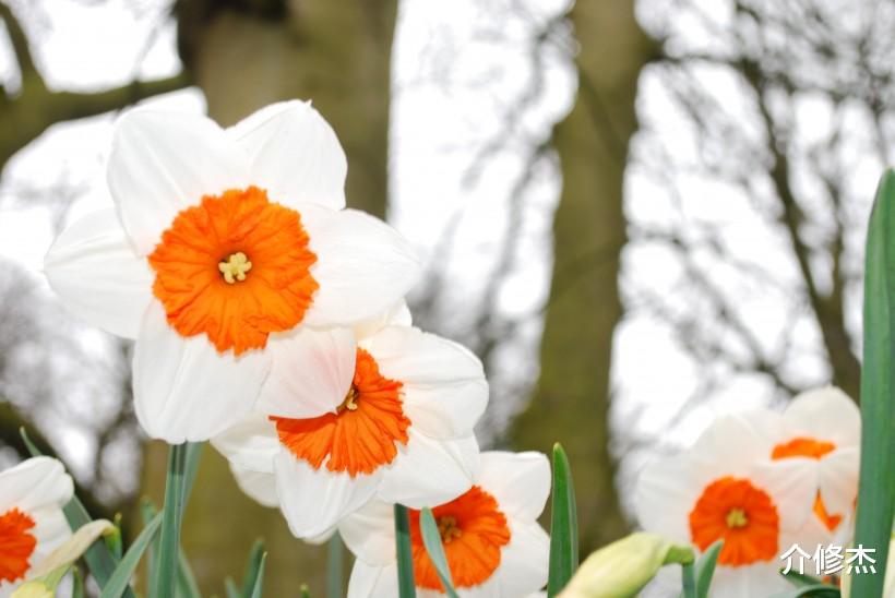 生肖@六月份下旬公认为最温柔，从来不愁异性缘，人人都喜欢的4大生肖