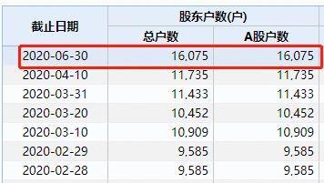 阿根廷队|闪崩！500亿芯片巨头狂跌18%，20倍大牛股到底怎么了？